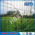 PVC Coated Galvanized Wire Fence